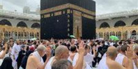 17 دراسة يجريها معهد خادم الحرمين الشَّريفين لأبحاث الحج والعمرة لتطوير خدمات ضيوف الرَّحمن - الكويت الاخباري