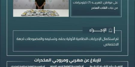 القبض على شخص لتهريبه (7) كجم من القات بـسقام - الكويت الاخباري