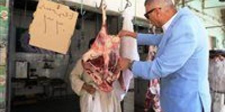 محافظ أسوان يفاجئ عدد من محلات الجزارة والمخابز البلدية بكوم أمبو - الكويت الاخباري