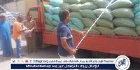 حصاد 188 ألف فدان من القمح وتوريد أكثر من 147 ألف طن للشون والصوامع حتى اليوم فى أسيوط - الكويت الاخباري