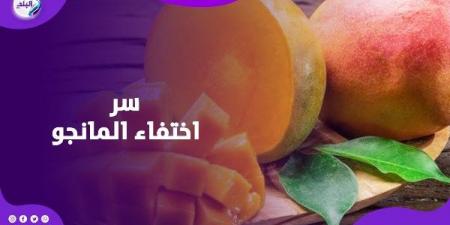 المانجا راحت فين؟.. حقيقة تصدير المحصول للخارج واستيراده عصير برقم خيالي - الكويت الاخباري