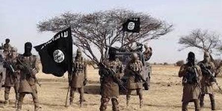واشنطن تكشف علاقة رفع العقوبات عن سوريا بمواجهة داعش - الكويت الاخباري