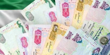سعر الدرهم الإماراتي مقابل الجنيه اليوم السبت 31 مايو 2025 - الكويت الاخباري