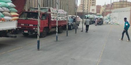 توريد 263 ألف طن قمح بمراكز التخزين منذ بدء موسم الحصاد بالدقهلية - الكويت الاخباري