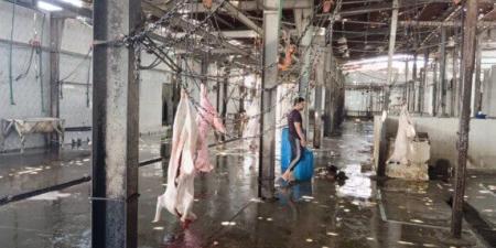 السكرتير العام المساعد لمحافظة الإسماعيلية يتفقد المجزر الآلي بأبو خليفة وأبو صوير - الكويت الاخباري