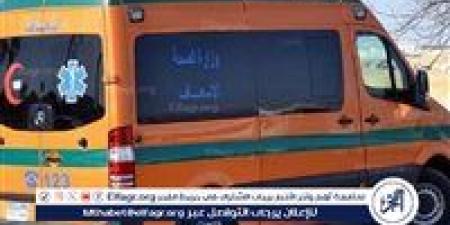 لهو الطفولة يتحول إلى كارثة.. ماذا حدث لطفلة بالهرم؟ - الكويت الاخباري