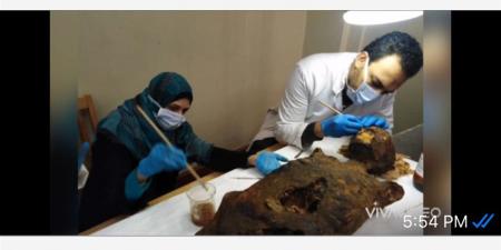 خبير آثار مصري ينجح في ترميم باروكة شعر أثرية عمرها 3000 عام - الكويت الاخباري