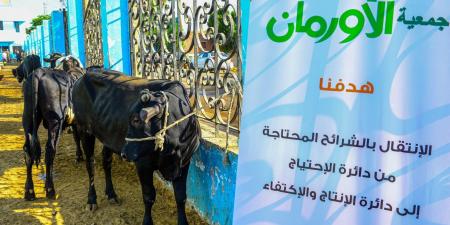 لدعم الأكثر احتياجا.. تضامن الغربية تعلن خطة توزيع لحوم الأضاحي بـ60 قرية - الكويت الاخباري