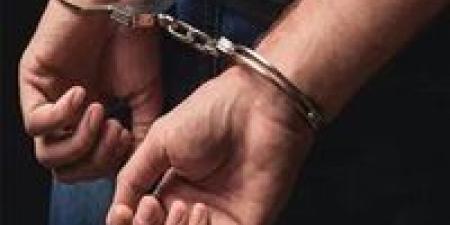 عمق 10 متر.. ضبط عامل بتهمة التنقيب عن الآثار بالدرب الأحمر - الكويت الاخباري