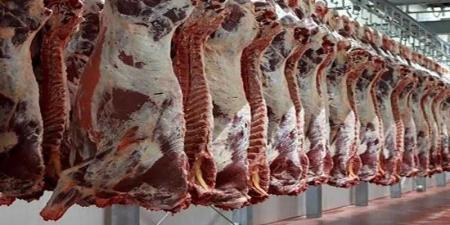 أسعار اللحوم الحمراء اليوم الأربعاء - الكويت الاخباري