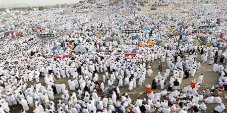 حج الجمعيات: تنسيق كامل مع الجانب السعودي للتسهيل على الحجاج المصريين في المناسك - الكويت الاخباري