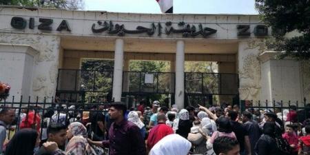 رسميًا.. موعد افتتاح حديقة الحيوان بالجيزة بعد إغلاقها 18 شهرًا - الكويت الاخباري