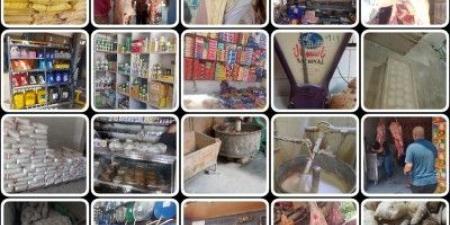 تحرير 300 محضرا ومخالفة تموينية خلال حملات على الاسواق بالقليوبية - الكويت الاخباري