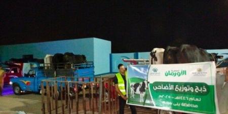 «الأورمان» تذبح 45 عجلًا في بني سويف وتستعد لتوزيع 50 طن لحوم على الأسر الأكثر احتياجًا - الكويت الاخباري
