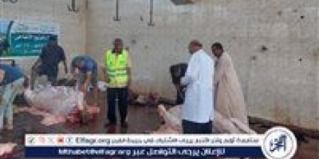 ذبح آمن واستعدادات مكثفة.. مجازر قنا في حالة طوارئ - الكويت الاخباري