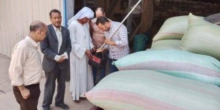 تخطت النص مليون.. استمرار أعمال توريد القمح بشون وصوامع المنيا - الكويت الاخباري