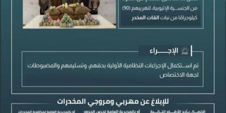 حرس الحدود بعسير يقبض على 6 مخالفين لنظام أمن الحدود لتهريبهم 90 كيلوجرامًا من نبات القات المخدر - الكويت الاخباري