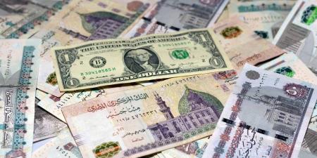 سعر الدولار في مصر اليوم الجمعة 20-6-2025.. هل تستمر موجة الارتفاع؟ - الكويت الاخباري