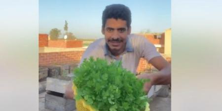 طريقة السمالوسي .. حيلة جديدة لزراعة الخضروات تحقق ملايين المشاهدات - الكويت الاخباري