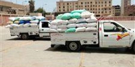 ارتفاع الكميات الموردة من القمح المحلي للمواقع التخزينية في الشرقية - الكويت الاخباري