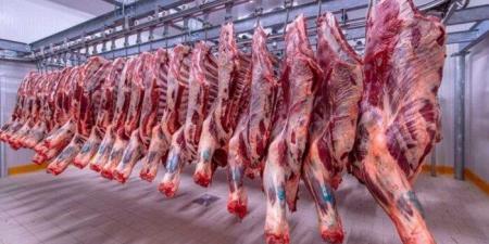الكندوز بـ 420 جنيهًا.. أسعار اللحوم اليوم الثلاثاء 24 - 6 - 2025 - الكويت الاخباري