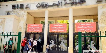 موعد افتتاح حديقة الحيوان بالجيزة.. خريطة الأنشطة الترفيهية ومرافق عالمية - الكويت الاخباري