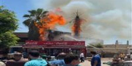 السيطرة على حريق اندلع في مجموعة أشجار بأرض المحلج في المحلة - الكويت الاخباري