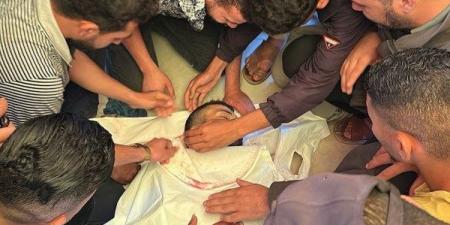 الأمم المتحدة تحذر من مجاعة غزة.. و31 شهيدًا منذ فجر اليوم - الكويت الاخباري