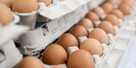 سعر كرتونة البيض اليوم السبت 28 يونيو 2025.. الأحمر بـ 150 جنيهًا - الكويت الاخباري