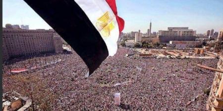برلماني : ثورة 30 يونيو براند عالمى يدرس في كيفية إنقاذ الأوطان - الكويت الاخباري