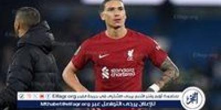 كلوب تجاهل توصية البيانات واختار نونيز بدلًا من إيزاك.. إدارة ليفربول تكشف الكواليس - الكويت الاخباري