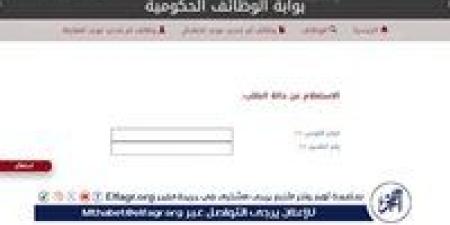 عايز تشتغل في الحكومة؟.. اعرف شروط التقديم لوظائف النقل النهري من هنا - الكويت الاخباري