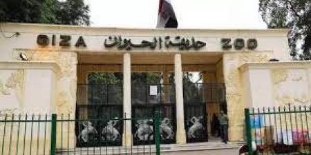 ما هو سعر تذكرة دخول حديقة الحيوان بعد افتتاحها؟ - الكويت الاخباري