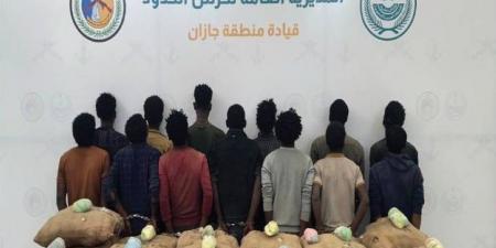 القبض على (13) مخالفًا لتهريبهم (260) كجم من القات  بـالدائر - الكويت الاخباري