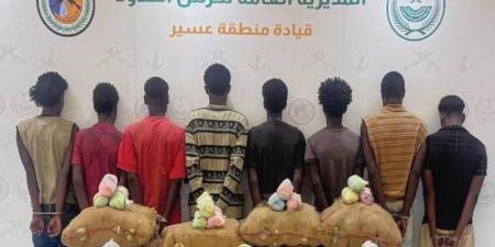 القبض على (8) مخالفين لتهريبهم (120) كجم من القات بـالربوعة - الكويت الاخباري