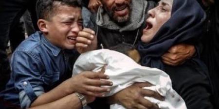 عدد شهداء الحرب الإسرائيلية على غزة يقترب من 62 ألف فلسطيني - الكويت الاخباري