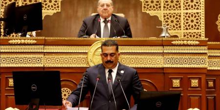 برلماني: موافقة حماس على المقترح المصري تؤكد ريادة القاهرة في إدارة الملف الفلسطيني - الكويت الاخباري