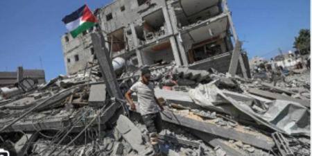برلماني: الدور المصري ركيزة أساسية في جهود وقف العدوان على غزة - الكويت الاخباري