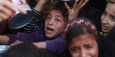 الأغذية العالمى: نصف مليون شخص فى غزة على شفا المجاعة - الكويت الاخباري
