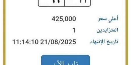 سعرها وصل 425 ألف جنيه.. المرور تطرح التزايد على لوحة سيارة مميزة - الكويت الاخباري