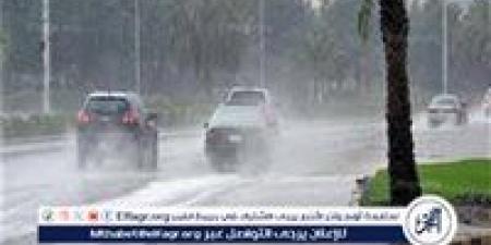 جازان الأعلى هطولًا.. أمطار متفرقة في 8 مناطق - الكويت الاخباري