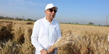 بعد تعاقد مصر على عدة شحنات.. ارتفاع أسعار القمح الفرنسي - الكويت الاخباري