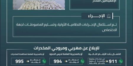 إحباط تهريب 230,000 قرص من الإمفيتامين المخدر بمنطقة تبوك - الكويت الاخباري