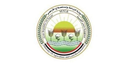 قصة نجاح وطنية.. «الزراعة» تراجع خطط مواجهة السحابة السوداء بالشرقية - الكويت الاخباري