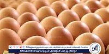 أسعار طبق البيض اليوم الاربعاء 20-8-2025 في قنا - الكويت الاخباري
