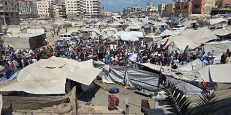 تظاهرات فلسطينية حاشدة تطالب بوقف العدوان الإسرائيلي على غزة ودعم المقترح المصري لوقف إطلاق النار - الكويت الاخباري