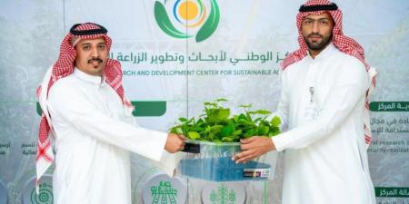 استدامة تدعم مزارعي الباحة بتسليم 19 ألف شتلة من البن والتوت الأسود المنتجة - الكويت الاخباري