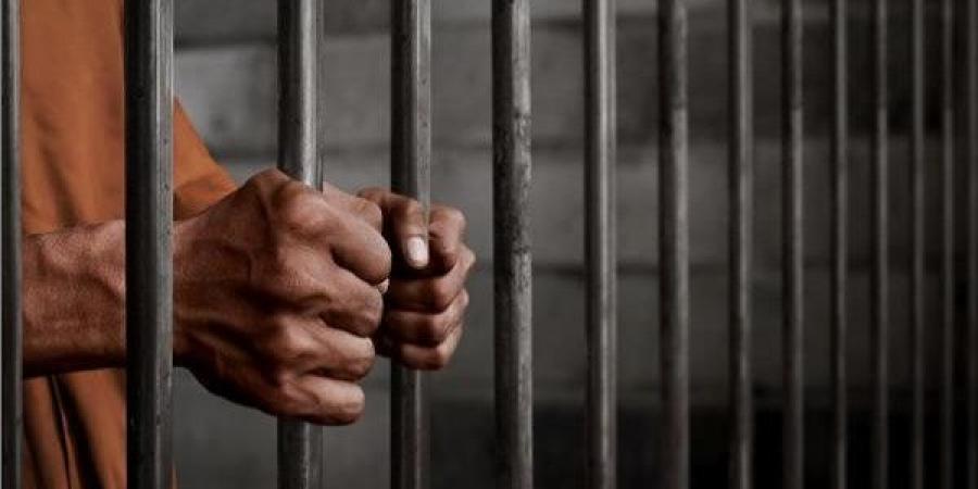 التحفظ على خفير تعدى على طفلة بشبين القناطر - الكويت الاخباري