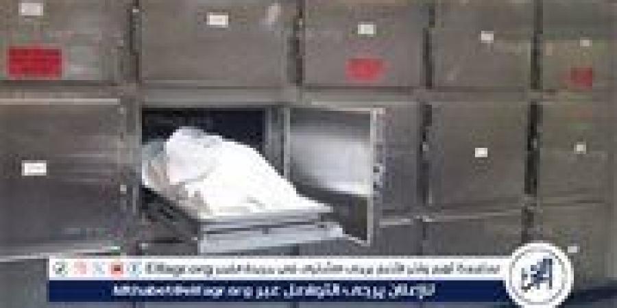 مصرع طفل قتلا علي يد شقيقه بالخطأ أثناء المزاح في الدقهلية - الكويت الاخباري