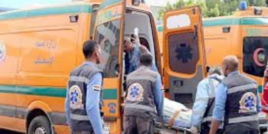 إصابة 3 أشخاص في انقلاب سيارة على الطريق الزراعي الغربي بسوهاج - الكويت الاخباري